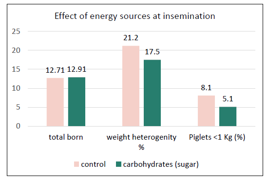 Figure 3. The effect of ‘flushing’ (by provision of additional carbohydrates (sugar) in the feed) on piglet birth weight heterogeneity and low-birth weight.