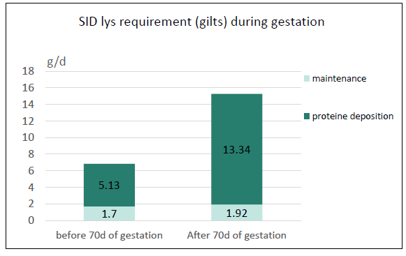 Figure 1. Standardized ileal digestible Lys requirements of gilts (g/day) during gestation
