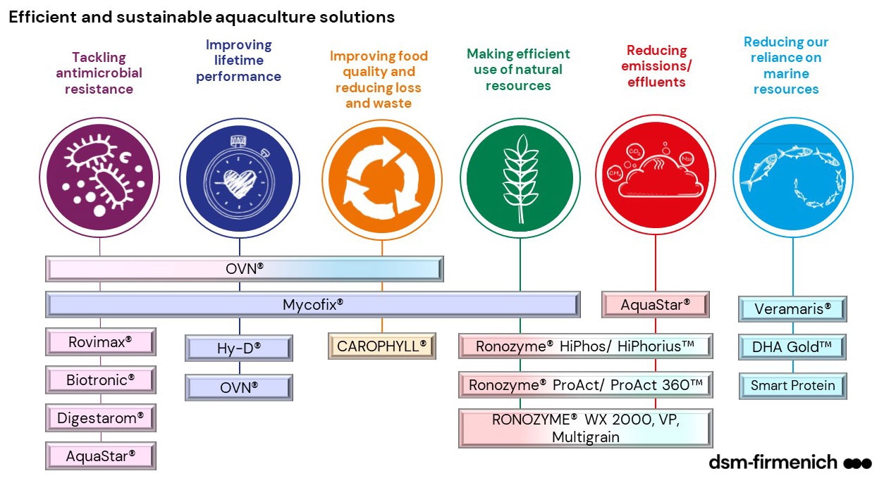 dsm-firmenich portfolio for efficient and sustainable aquaculture solutions
