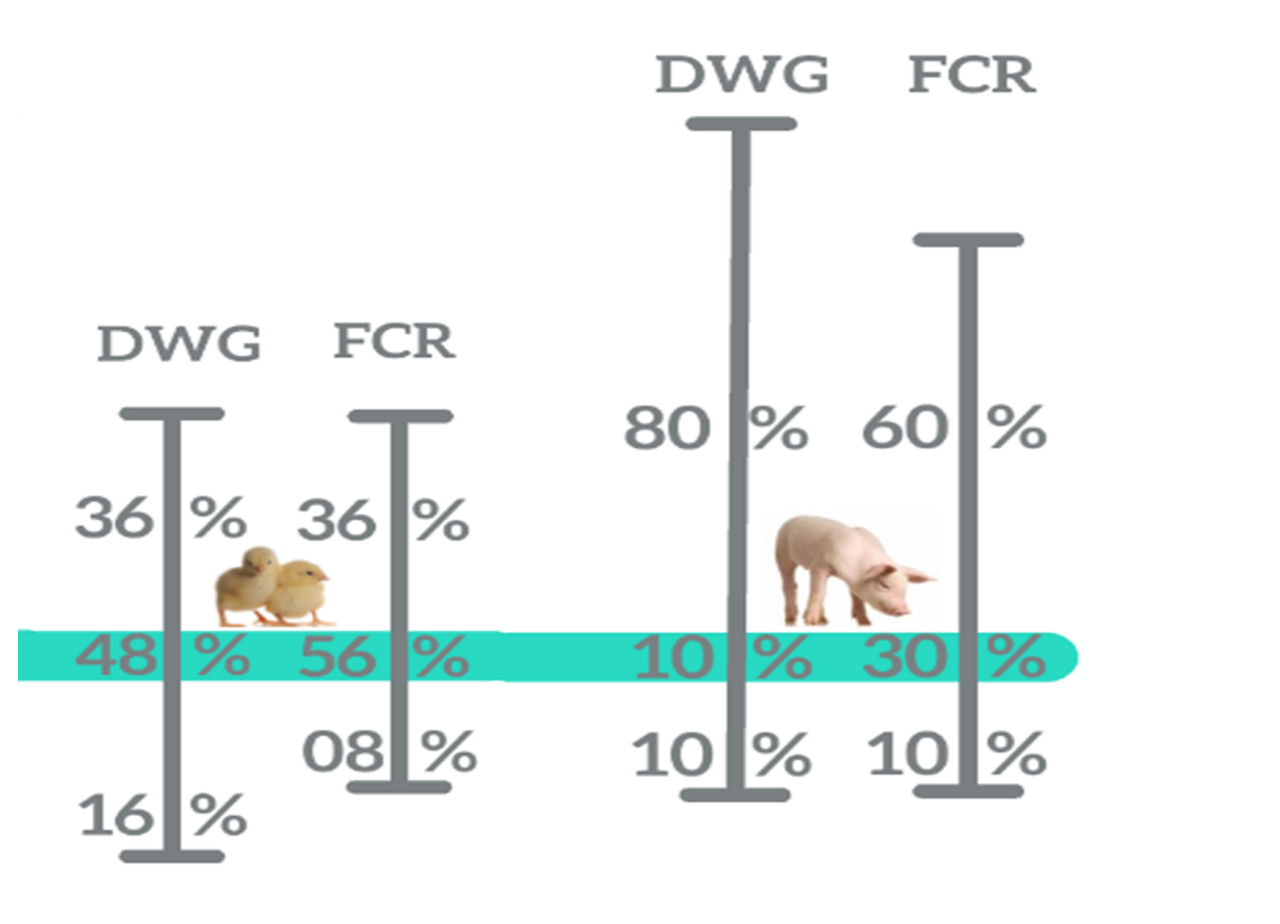 Figure 2: Breast Yield