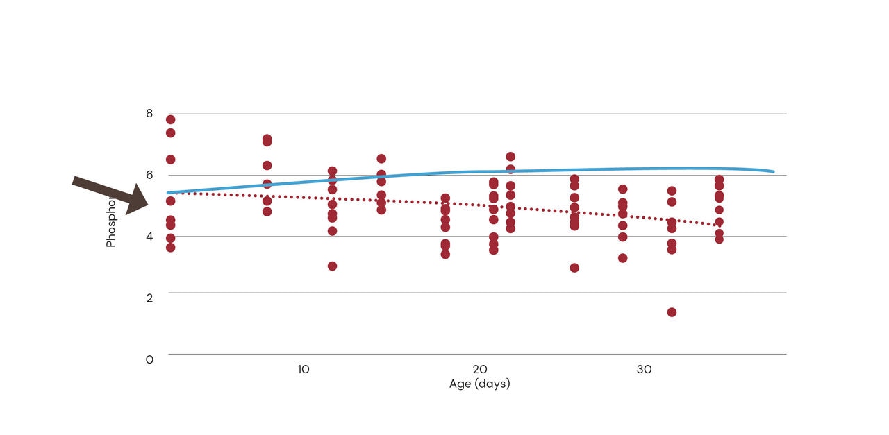 Figure 3. Dietary phosphorus from broiler farms over time (Source: dsm-firmenich, 2024)