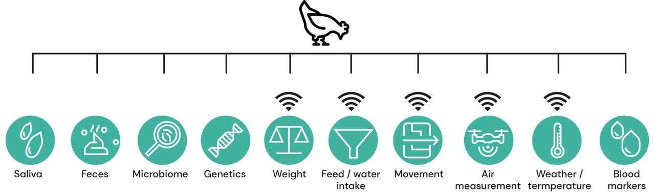 Figure 1. Data sources in livestock production (Source: dsm-firmenich, 2024)