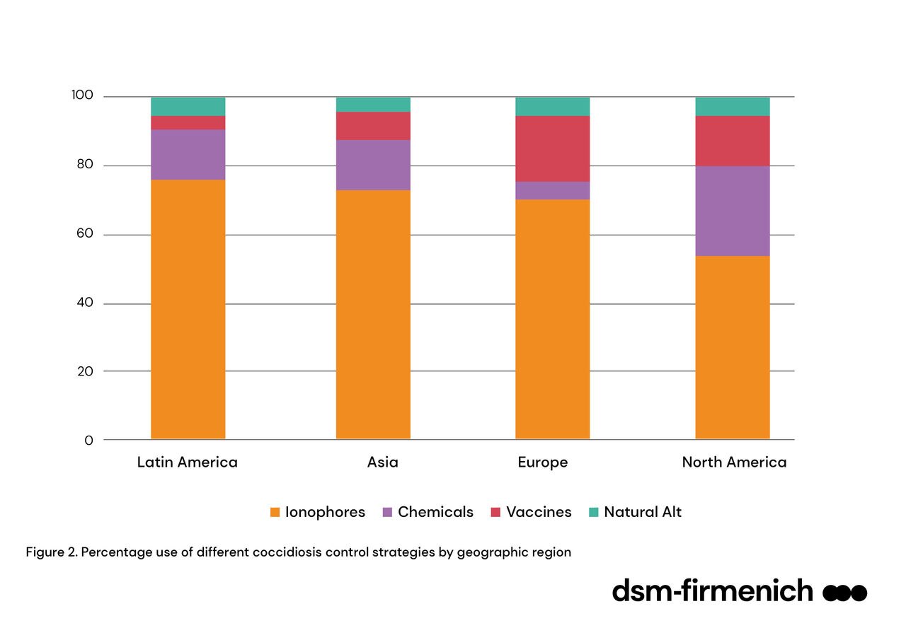 Figure 2. Percentage use of different coccidiosis control strategies by geographic region