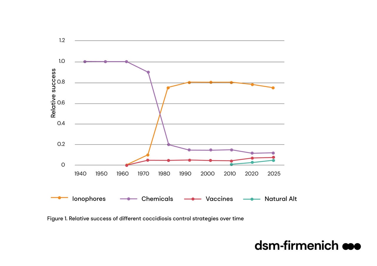 Figure 1. Relative success of different coccidiosis control strategies over time