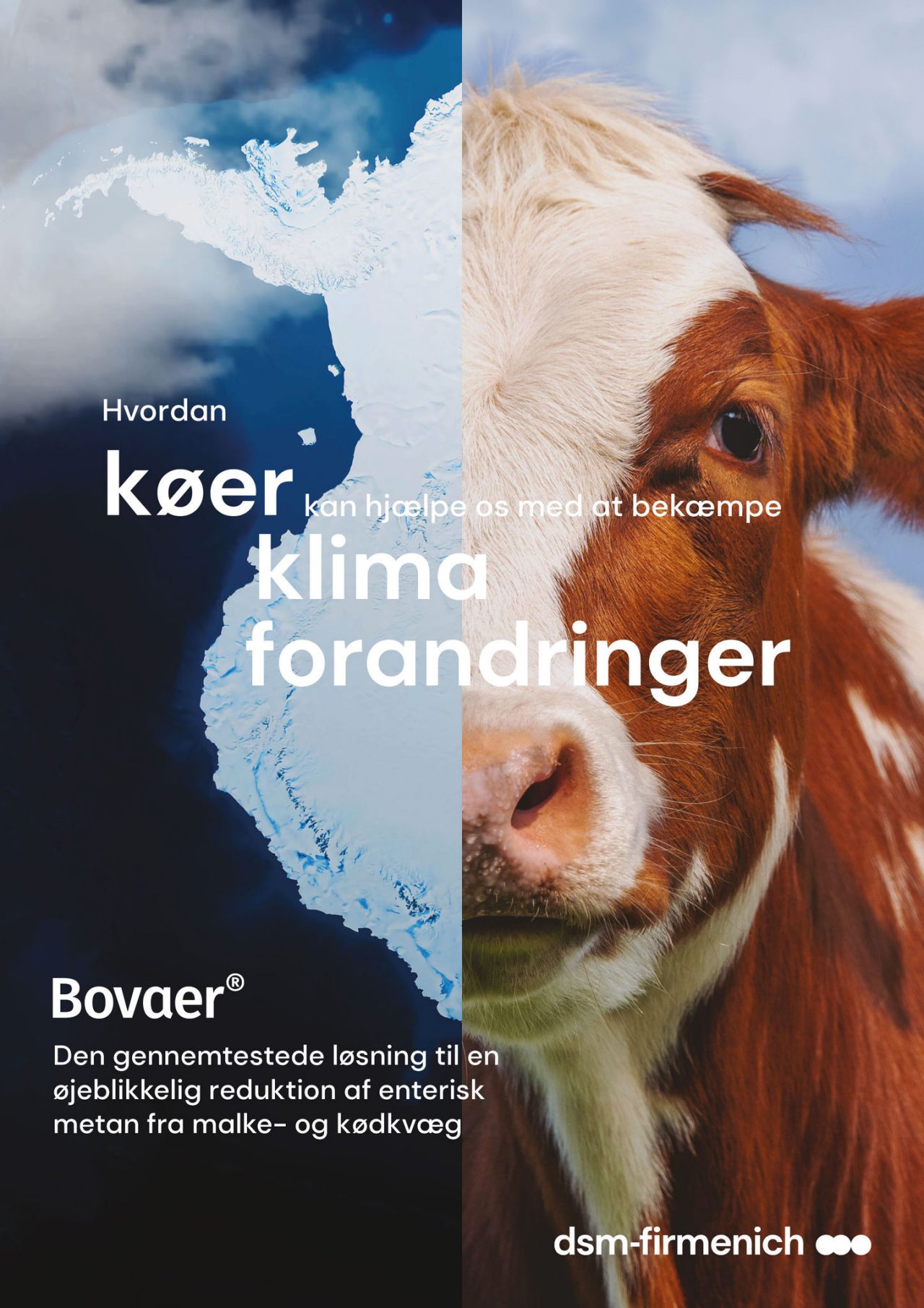 Bovaer® - det eneste fodertilsætningsstof godkendt* til reduktion af enterisk metan