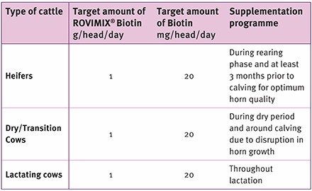 ROVIMIX® Biotin Supplementation Guidelines for Dairy Cattle
