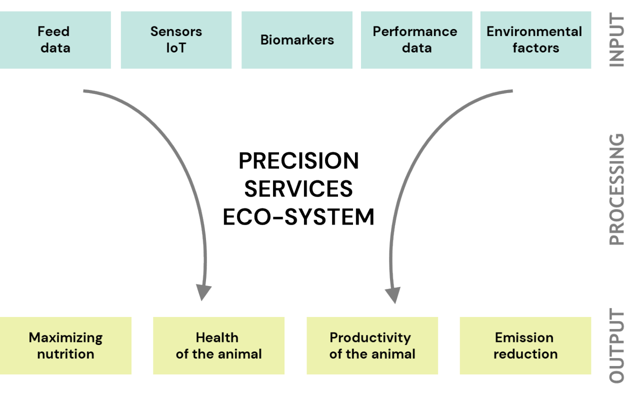 Precision Services – Making the invisible visible
