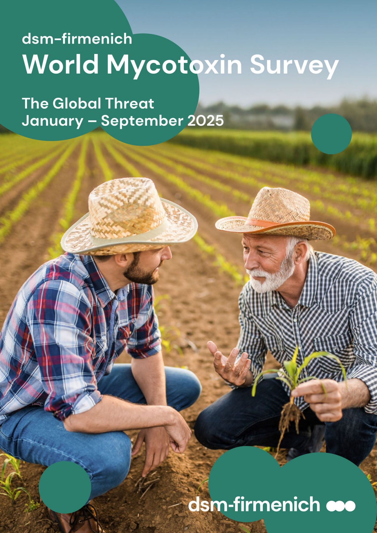 dsm-firmenich World Mycotoxin Survey January to September 2025