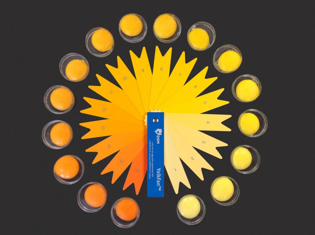 Astaxanthin powder manufacturer