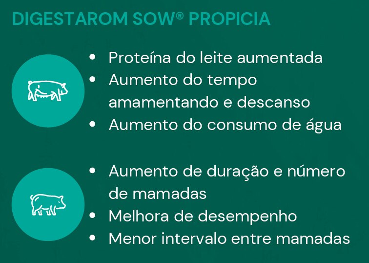 49 Matrizes em dieta controle e 44 Matrizes em dieta controle + suplementação com 150g/ton Digestarom Sow®