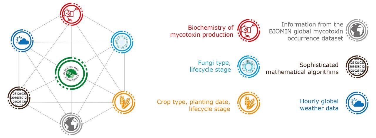Mycotoxin-Prediction-Tool-How-does-prediction-work
