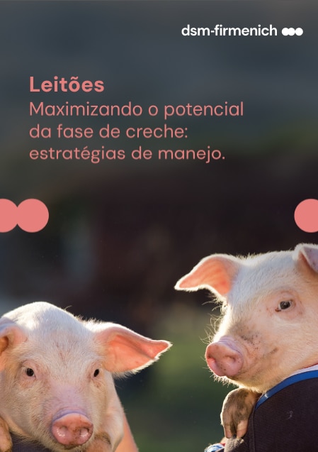 Capado Ebook Leitões - Maximizando o potencial da fase de creche: estratégias de manejo