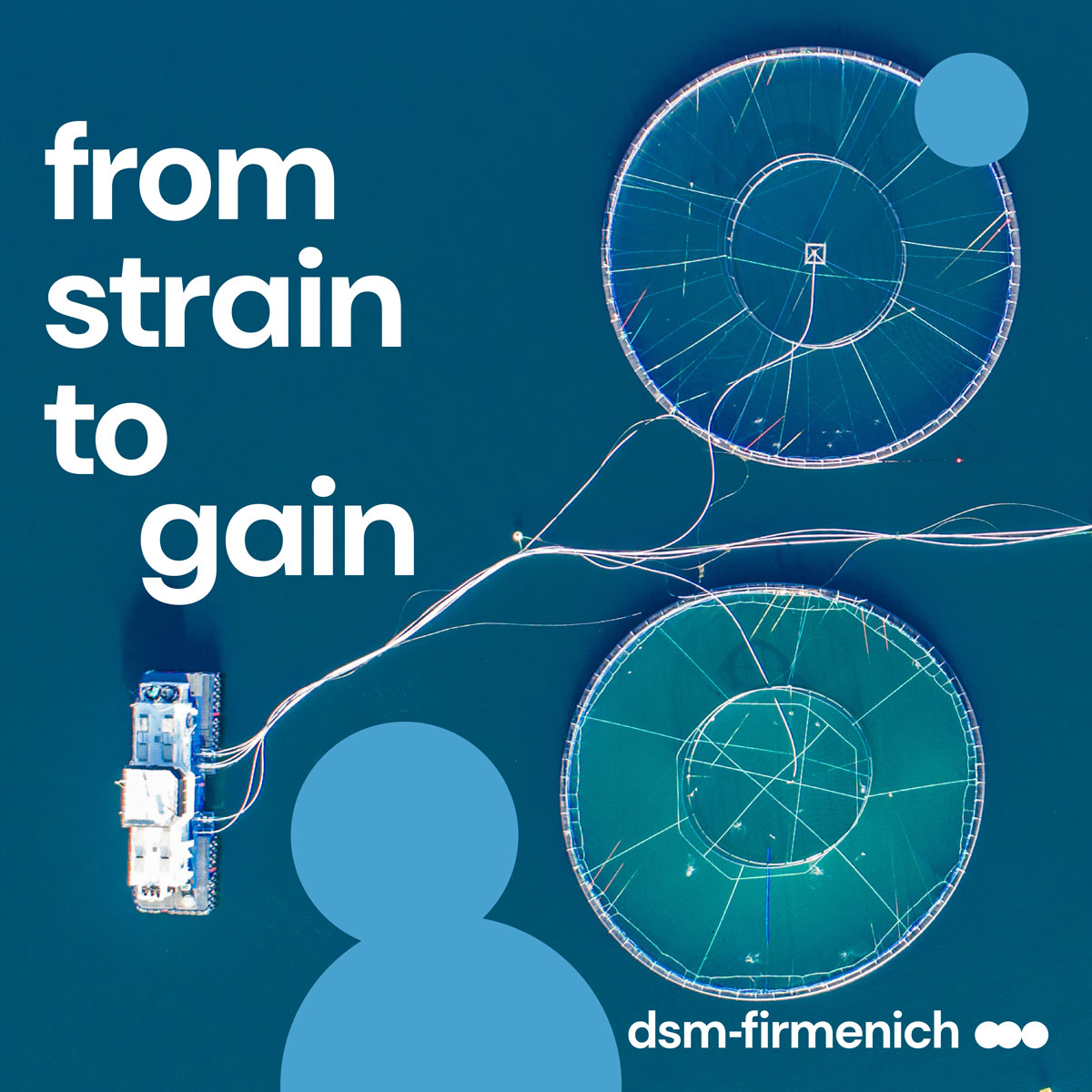 From strain to gain