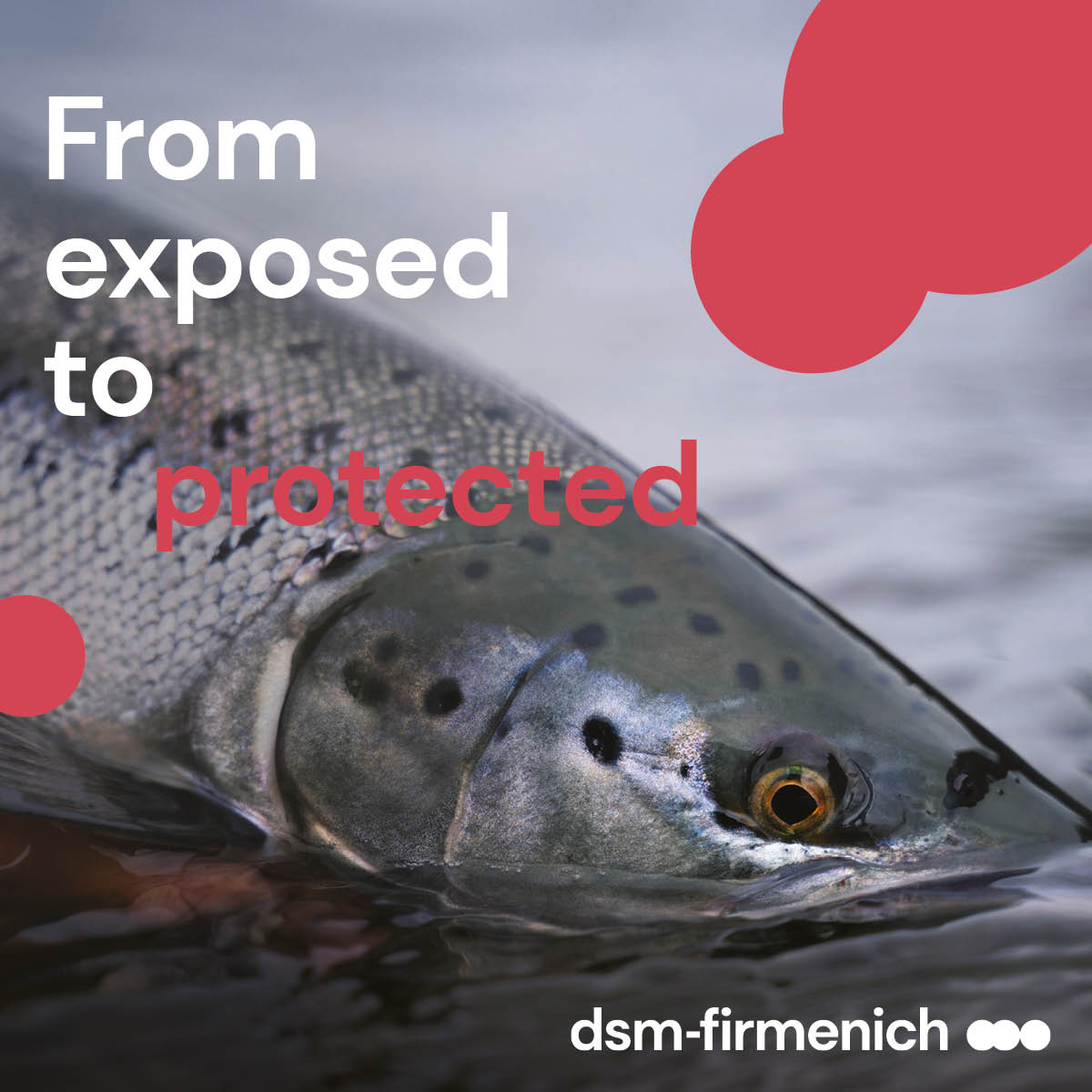From exposed to protected