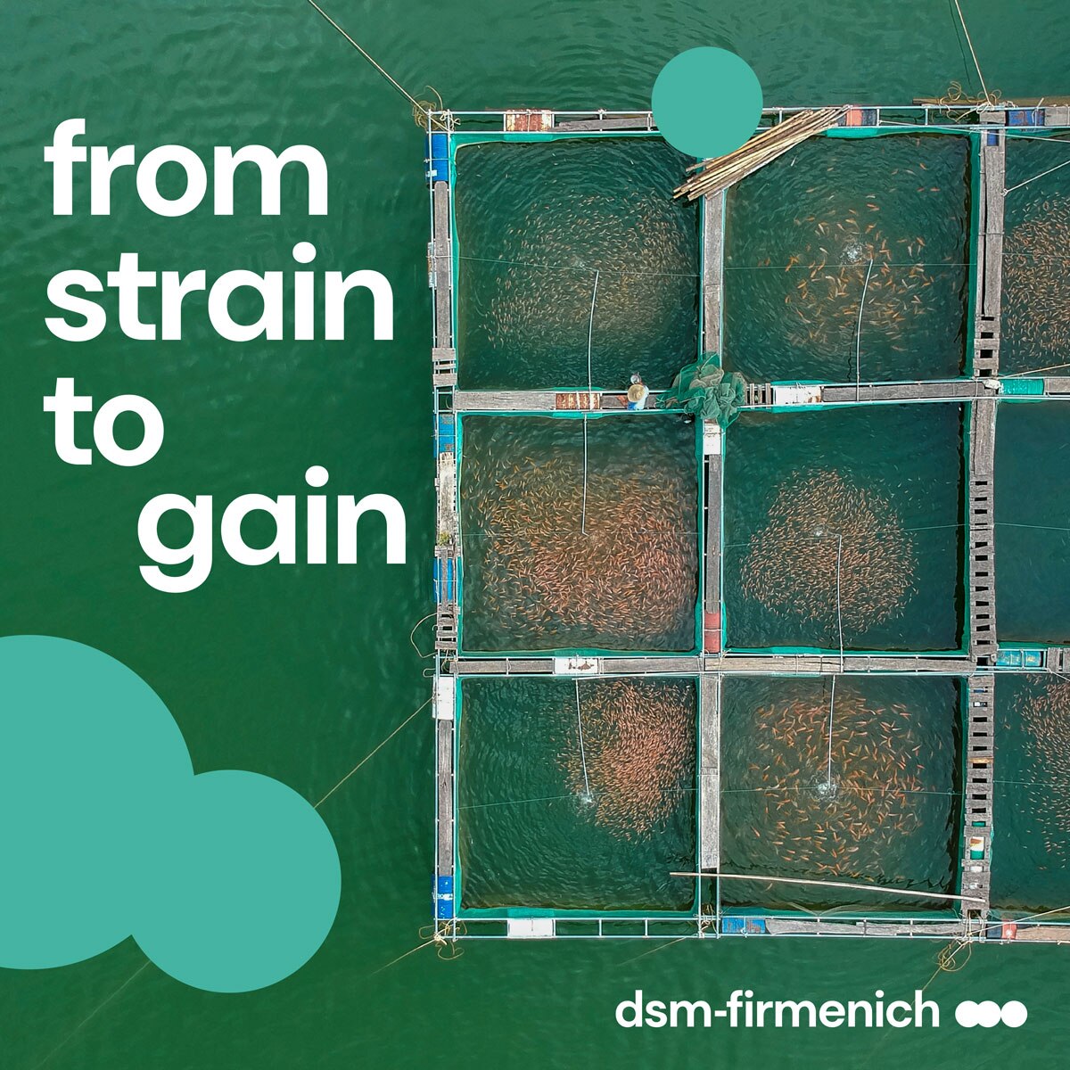 From strain to gain