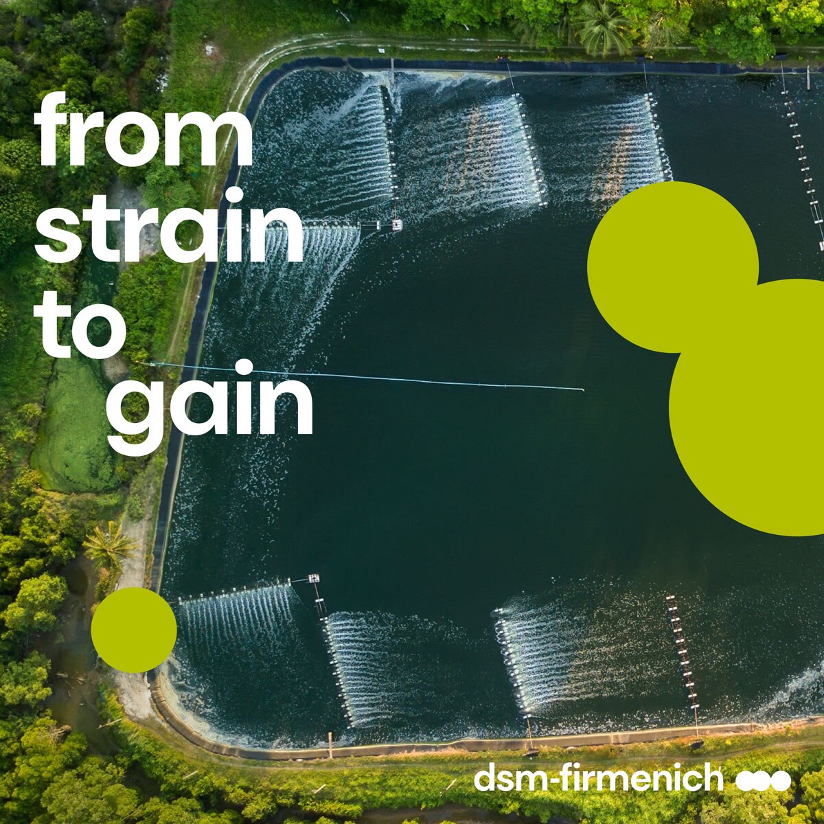 From strain to gain