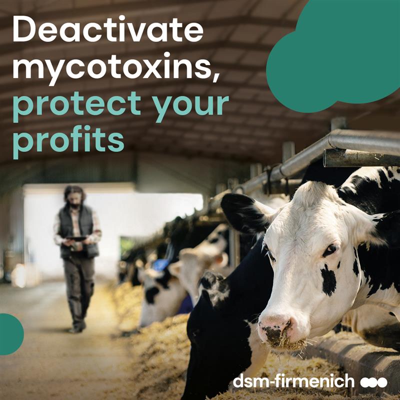 Deactivate mycotoxins, protect your profits
