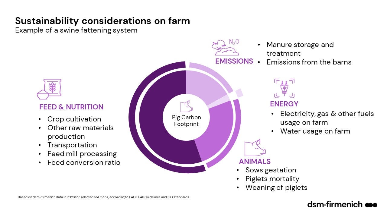 Example of a swine fattening system