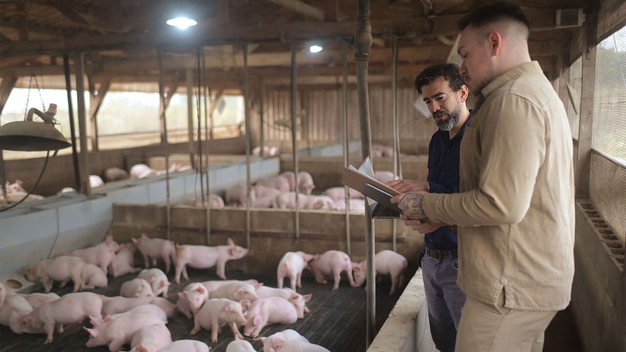 Farm manager