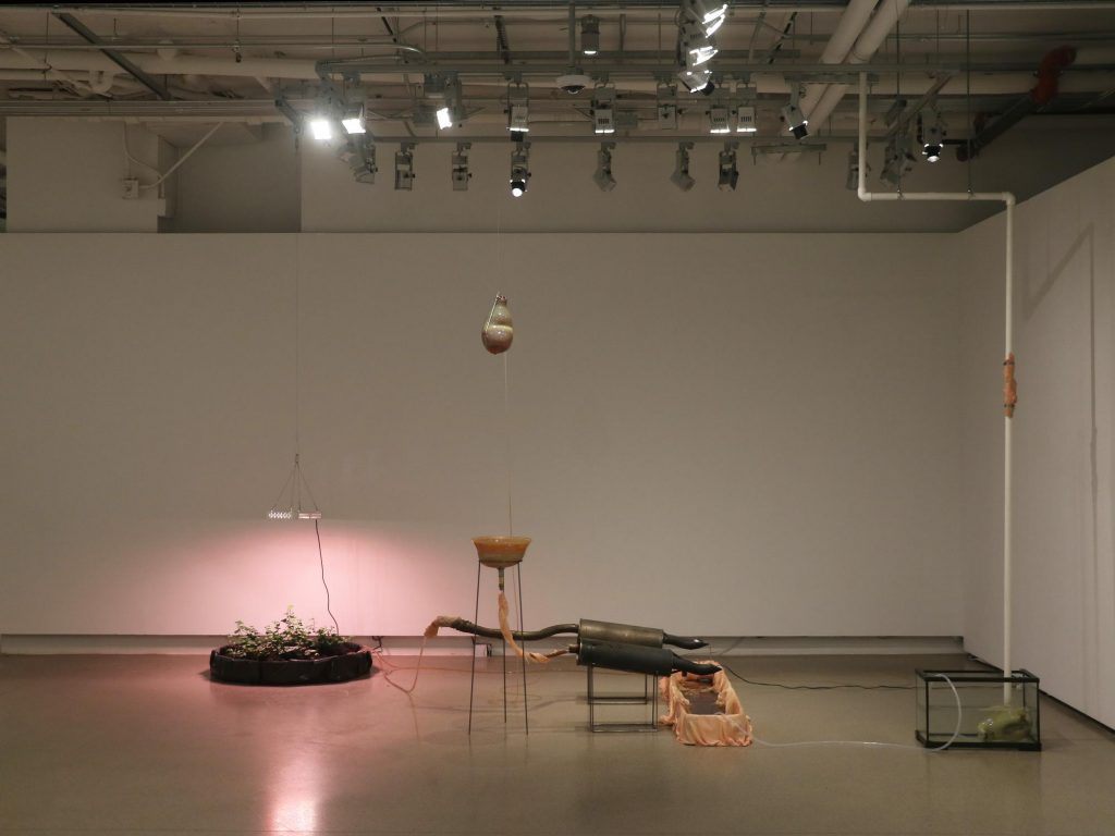 Art of progress prize