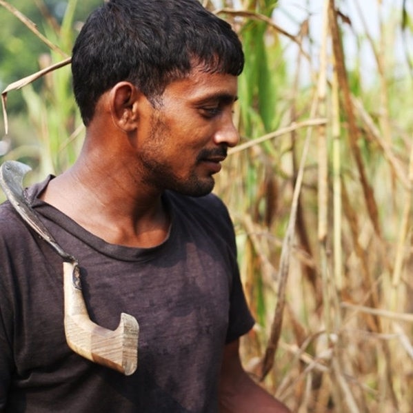 Innovation focus: what sets us apart from competition