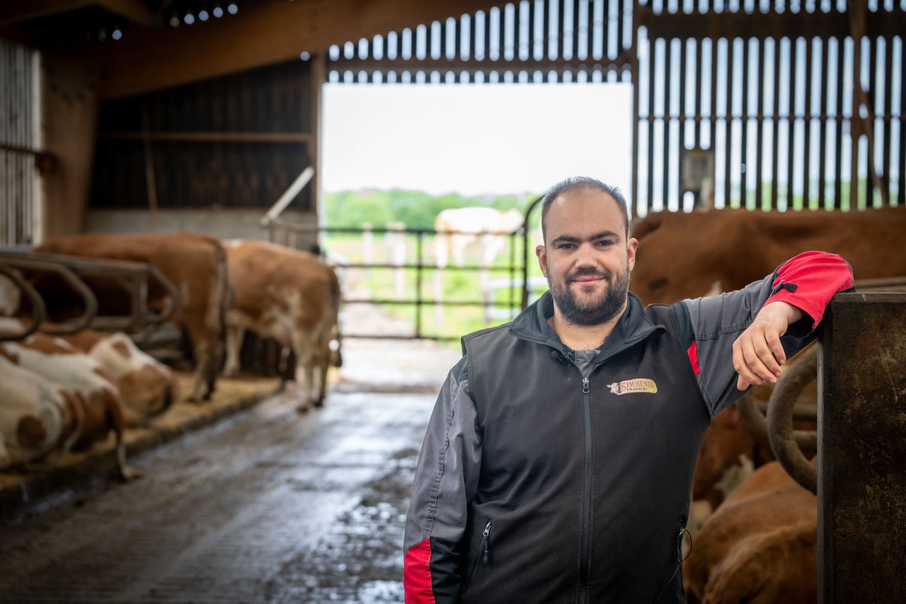 What Dairy Farmers Actually Experienced Using Bovaer® on Farm in France and Poland