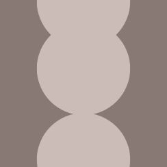 dsm-firmenich cancels its shares following completion of its €1.08 billion share repurchase program