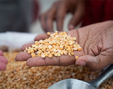 dsm-firmenich and the United Nations World Food Programme expand partnership through 2027