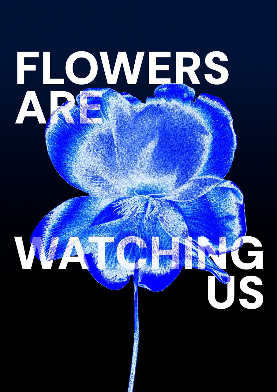 dsm-firmenich returns to Beautyworld Middle East 2026 with Flowers Are Watching Us