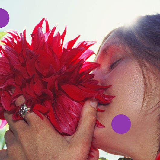 dsm-firmenich unveils SENSORIUM™ Seoul: Exploring the Rise of K-Scent and the Future of Fragrance Creation