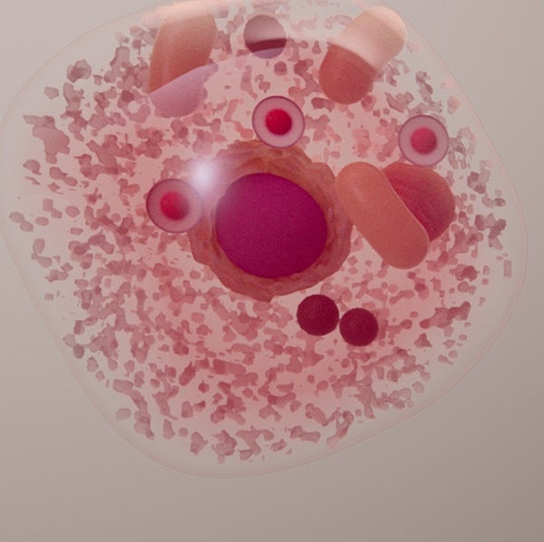 Vitafoods Europe 2026