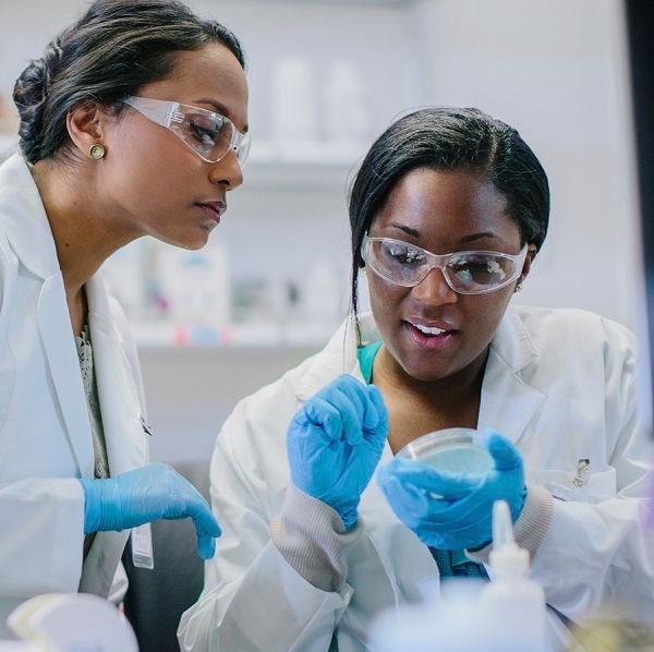 Services scientifiques