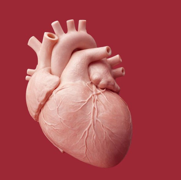 Au-delà de la surface : Repenser les revêtements comme catalyseurs stratégiques de l'innovation dans le domaine des dispositifs médicaux