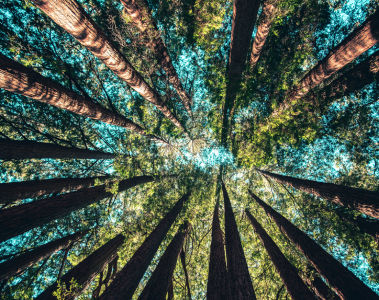 지속 가능한 변화를 통해 사람과 지구의 건강을 보호하는 dsm-firmenich의 비결은? | dsm-firmenich 건강, 영양 및 관리