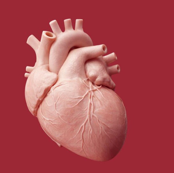 Beyond the Surface: Rethinking coatings as a strategic enabler in medical device innovation