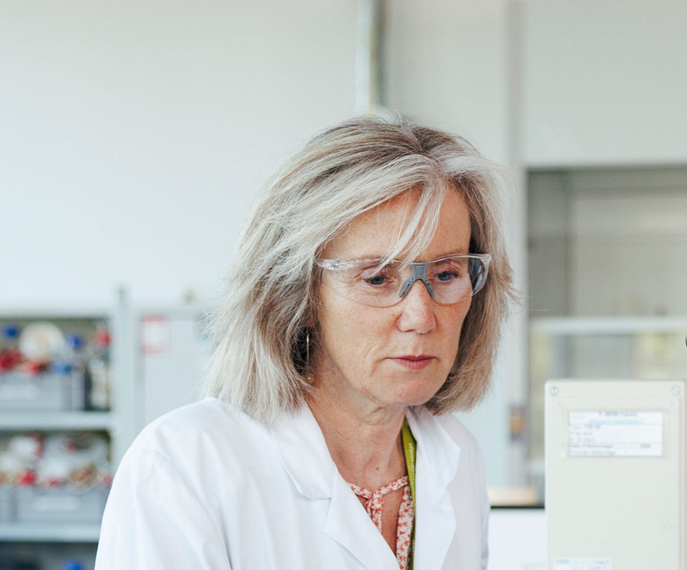 从香气到洞察：我在风味分析领域的探索之路