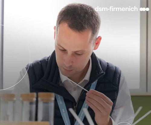 生活如此美好：我在DSM-Firmenich的梦想职业 