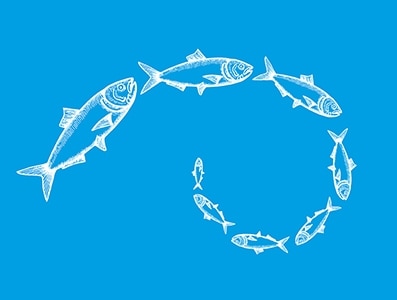 Verringerung der Abhängigkeit von Meeresressourcen