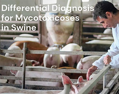 Differentialdiagnose für Mykotoxikosen bei Schweinen PDF