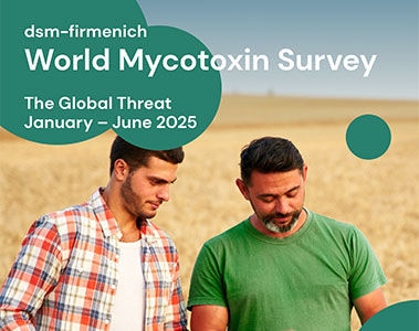 Download der dsm-firmenich World Mycotoxin Survey Januar bis Juni 2025