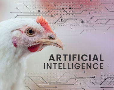 Artificial Intelligence and unlocking the value of animal agriculture data