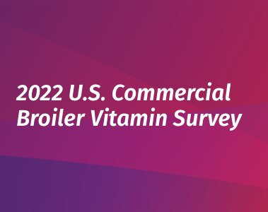 coming-soon-poultry-vitamin-survey-2022