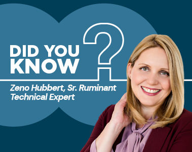 DID YOU KNOW? Vitamin E is a strategic tool to increase the color case life stability of meat.