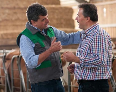 Differential Diagnosis for Mycotoxicoses in Ruminants