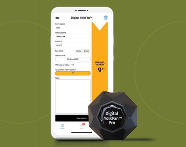 Digital YolkFans™ Now Available in Webshop