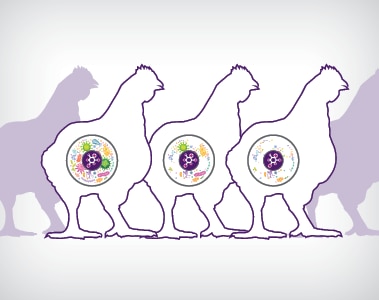 Microbiome Technology