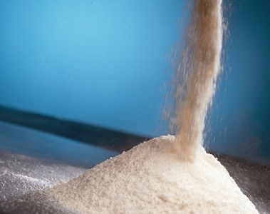 Product Quality and Customer Trust in a Premix Plant