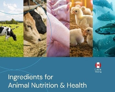 Canada Product Catalog Download Page