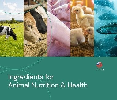 US Product Catalog Download Page