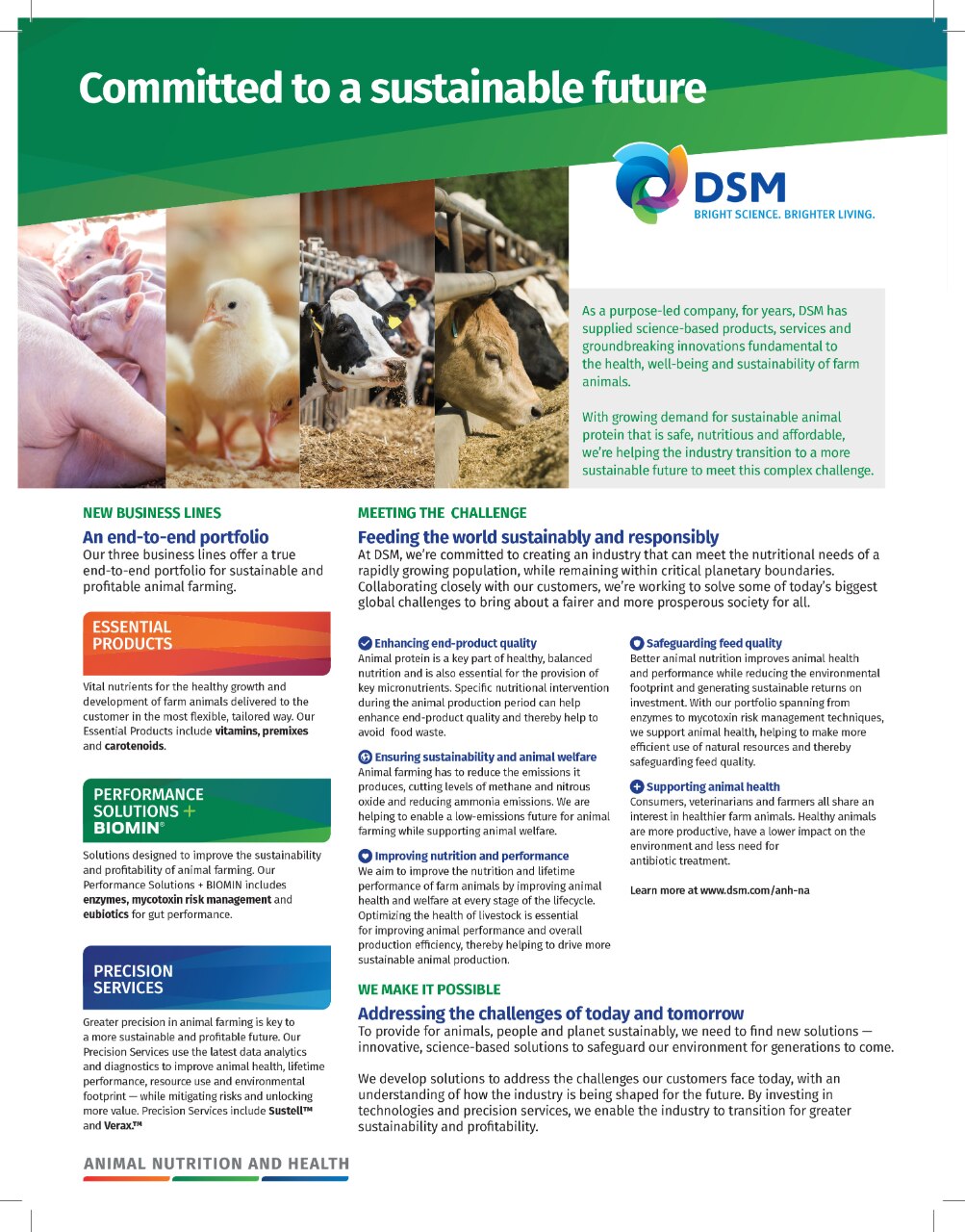 dsm-firmenich at a glance